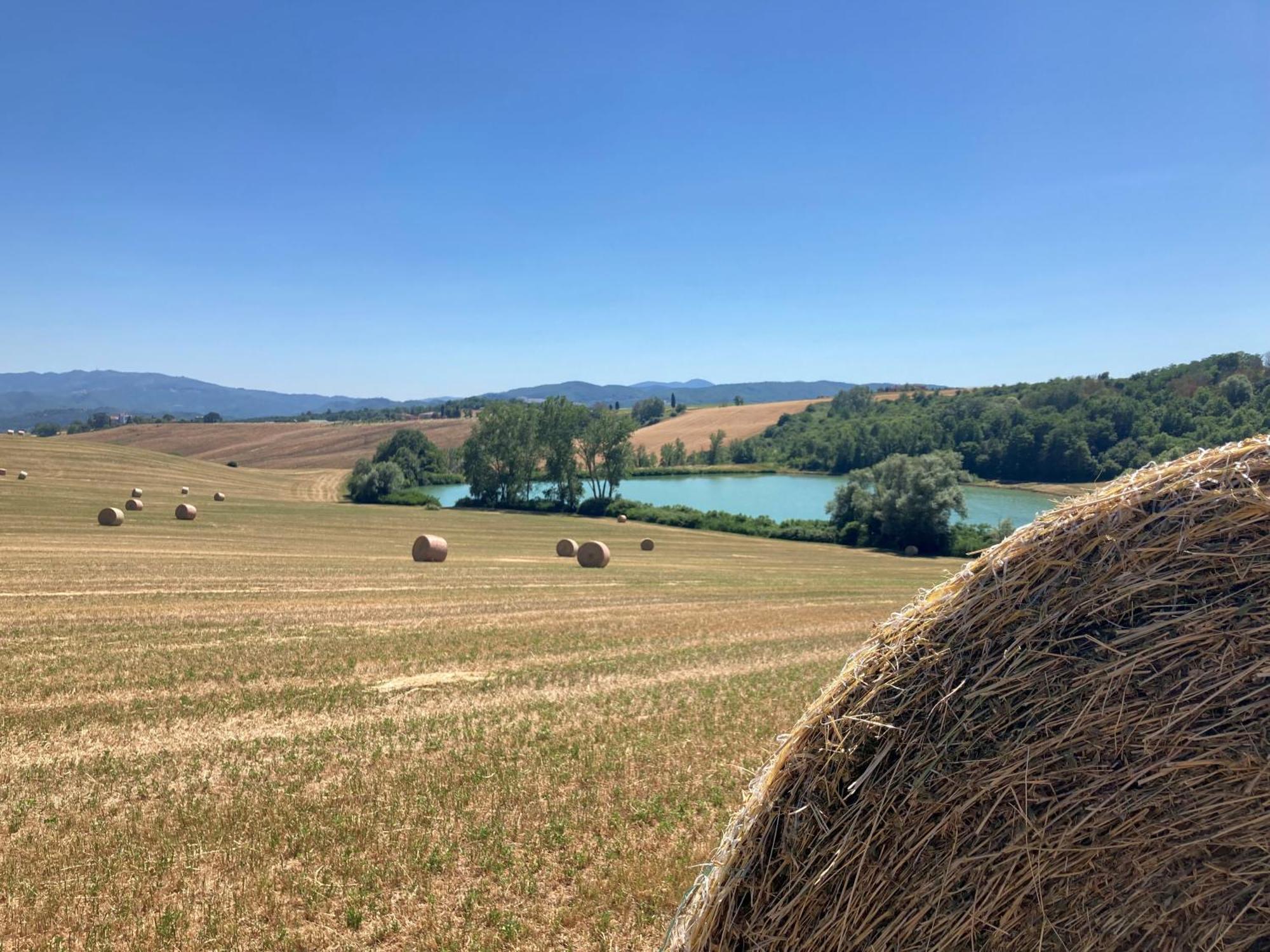 Agriturismo Poggio Di Sotto Галлиано Экстерьер фото